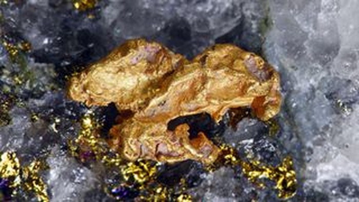 Bongkahan emas yang terbentuk di dalam urat kuarsa, yaitu retakan pada batuan yang berisi cairan hidrotermal kaya mineral.