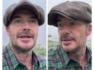 Makin Cinta Berkebun, David Beckham Absen Koleksi Tanaman di Rumahnya