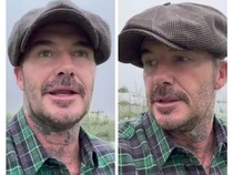 Makin Cinta Berkebun, David Beckham Absen Koleksi Tanaman di Rumahnya