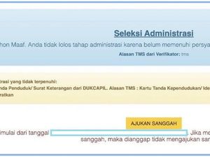 Cara Cek Pengumuman CPNS 2024 Hasil Seleksi Administrasi, Diumumkan Hari Ini!