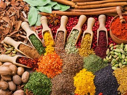 Sering Kembung atau Mual? Ini 5 Rempah dan Herbal yang Baik untuk Pencernaan