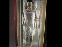 Jasad Xin Zhui