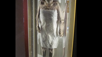 Jasad Xin Zhui: Wanita bangsawan Xin Zhui meninggal tahun 168 SM, tapi jasadnya masih sangat terawat. Ketika digali, ia masih memiliki daging dan organ, sehingga memungkinkan dilakukan otopsi. Jasadny dipersiapkan hati-hati menggunakan berbagai metode. Anda mungkin berpikir itu akan menjadi penjelasan yang sempurna untuk kondisinya. Namun, mayat lain yang dikubur dengan cara yang sama tetap membusuk, membuatnya menjadi anomali dan terus diteliti oleh pakar. Foto: Wikipedia