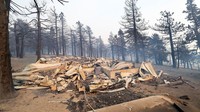Sisa-sisa Pusat Pengunjung Grassy Hollow yang terbakar habis oleh kebakaran Bridge Fire terlihat di Hutan Nasional Angeles, California, Amerika Serikat. Kebakaran ini telah menghancurkan sejumlah fasilitas di area tersebut dan terus menyebar dengan cepat. REUTERS/Mario Anzuoni  