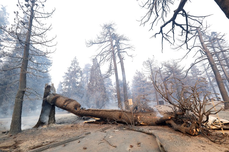 An emergency crew works on hotspots on a charred hillside, burned by the Bridge Fire, in Angeles National Forest, California, U.S. September 11, 2024.  REUTERS/Mario Anzuoni