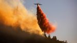 Kebakaran Hebat Hanguskan Hutan di California