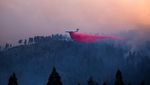 Kebakaran Hebat Hanguskan Hutan di California