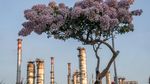 Kilang Cilacap untuk Ketahanan Energi Nasional Berkelanjutan