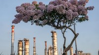 PT Kilang Pertamina Internasional (KPI) ini memiliki kapasitas pengolahan sebesar 348 ribu barrel per hari. KPI adalah anak perusahaan PT Pertamina (Persero) yang diamanahkan untuk mengelola seluruh Kilang minyak dan petrokimia milik Pertamina.
