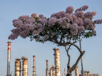 Kilang Cilacap untuk Ketahanan Energi Nasional Berkelanjutan