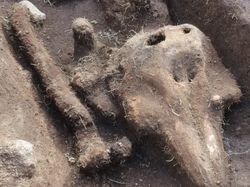 10 Penemuan Mengerikan dalam Sejarah, Bikin Merinding