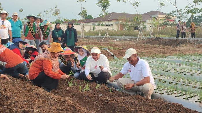 Mbak Ita Tanam Bawang Merah