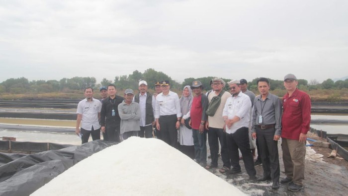 Pj Bupati Cirebon, Wahyu Mijaya saat meninjau tambak garam