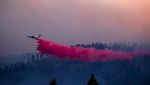 Potret Pesawat Berjuang Padamkan Kebakaran Hutan California