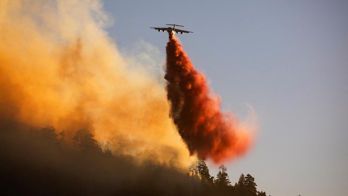 Potret Pesawat Padamkan Kebakaran Hutan California A plane drops retardant on the Bridge Fire threatening mountain communities to the northeast of Los Angeles, in Wrightwood, California, U.S. September 11, 2024. REUTERS/Ringo Chiu