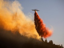 Potret Pesawat Berjuang Padamkan Kebakaran Hutan California