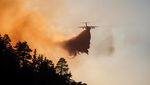 Potret Pesawat Berjuang Padamkan Kebakaran Hutan California