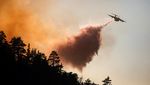 Potret Pesawat Berjuang Padamkan Kebakaran Hutan California