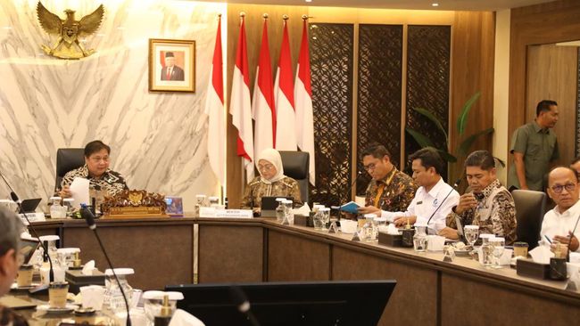 Wamentan Bicara Food Estate dan Cetak Sawah di Rakor Kemenko Perekonomian