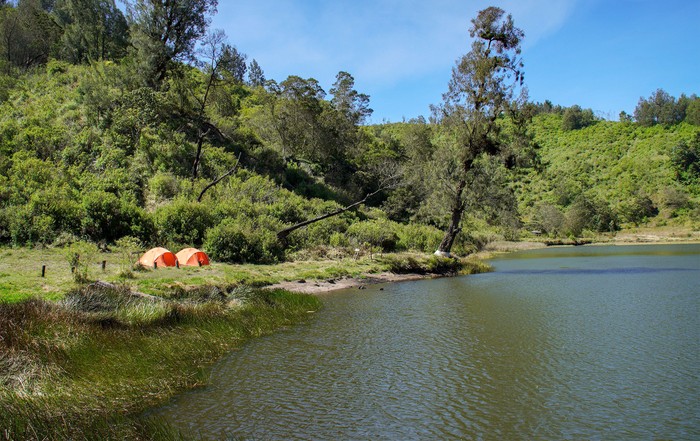 Wisatawan mendirikan tenda saat mengunjungi objek wisata Ranu Regulo di Lumajang, Jawa Timur, Kamis (12/9/2024). Balai Besar Taman Nasional Bromo Tengger Semeru (BB TNBTS) membuka kembali kawasan Ranu Regulo setelah sempat ditutup sejak 5 Februari 2024 dengan batasan kuota berkemah maksimal 300 orang perhari. ANTARA FOTO/Irfan Sumanjaya/Spt.