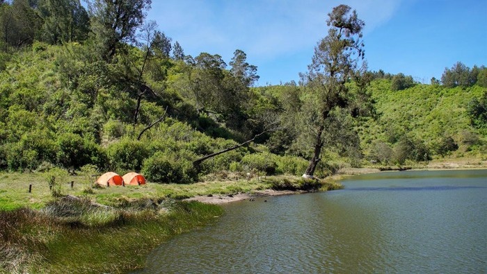 Wisatawan mendirikan tenda saat mengunjungi objek wisata Ranu Regulo di Lumajang, Jawa Timur, Kamis (12/9/2024). Balai Besar Taman Nasional Bromo Tengger Semeru (BB TNBTS) membuka kembali kawasan Ranu Regulo setelah sempat ditutup sejak 5 Februari 2024 dengan batasan kuota berkemah maksimal 300 orang perhari. ANTARA FOTO/Irfan Sumanjaya/Spt.