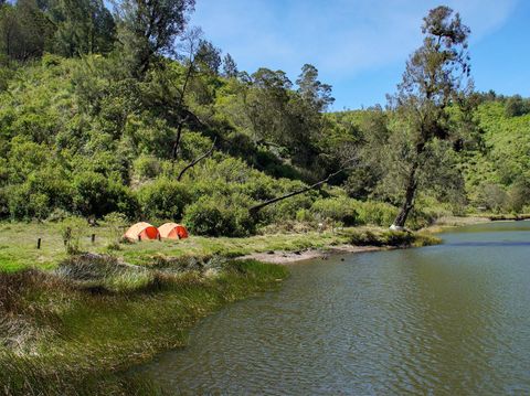 Wisata Ranu Regulo Dibuka Lagi Wisatawan mendirikan tenda saat mengunjungi objek wisata Ranu Regulo di Lumajang, Jawa Timur, Kamis (12/9/2024). Balai Besar Taman Nasional Bromo Tengger Semeru (BB TNBTS) membuka kembali kawasan Ranu Regulo setelah sempat ditutup sejak 5 Februari 2024 dengan batasan kuota berkemah maksimal 300 orang perhari. ANTARA FOTO/Irfan Sumanjaya/Spt.