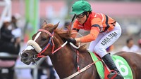 Joki pacuan kuda DKI Jakarta Ezra Tamunu memacu kudanya dalam perlombaan pacuan kuda kelas C-1.600 M PON XXI Aceh-Sumut 2024 di Arena Pacuan Kuda Belang Bebangka, Kabupaten Aceh Tengah, Aceh, Kamis (12/9/2024). Ezra Tamunu dengan kudanya Galardo meraih emas dengan catatan waktu satu menit 49,27 detik dana joki Jawa Timur Brahmantio FB Turangan meraih perak dengan waktu satu menit 49,90 detik serta joki Riau Rudi Rahmat meraih perunggu dengan waktu satu menit 52,26 detik. ANTARA FOTO/Arnas Padda.