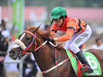 2 Kuda Pacu Mati Usai Tabrakan Saat Jateng Derby 2025