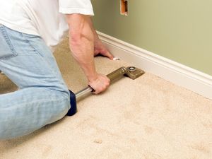 Tips Hilangkan Bekas Pipis Anabul di Karpet, Cukup Pakai 2 Bahan Saja!