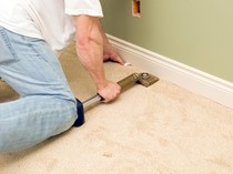 Tips Hilangkan Bekas Pipis Anabul di Karpet, Cukup Pakai 2 Bahan Saja!