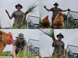 David Beckham Berkebun dan Berternak Nikmati Pensiun