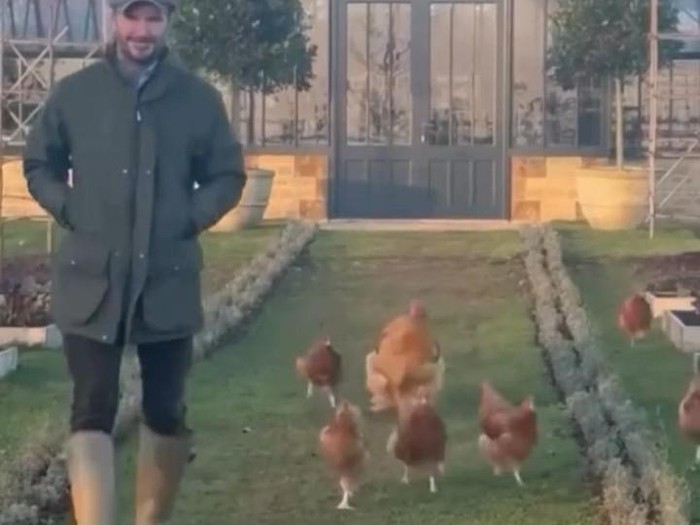 David Beckham Berkebun dan Berternak Nikmati Pensiun