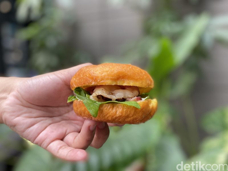 Donat of Curiosity