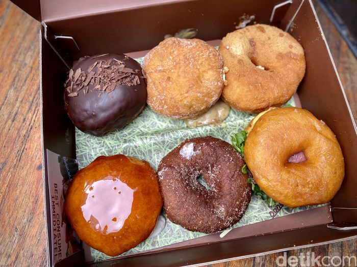 Donat of Curiosity Donat of Curiosity