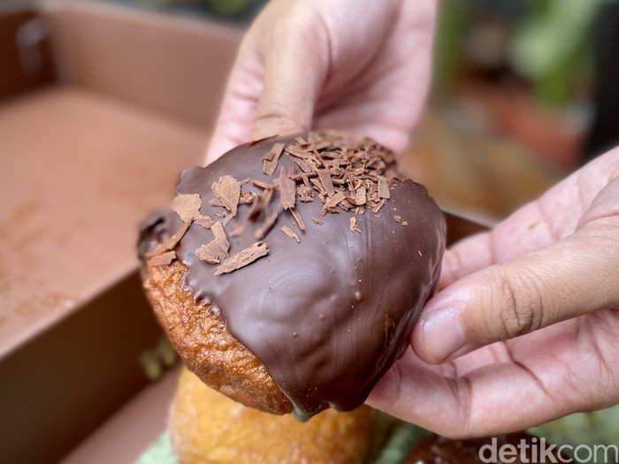 Donat of Curiosity Donat of Curiosity