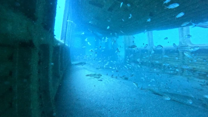 Gerbong kereta di laut