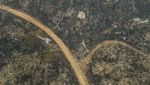 Kebakaran Hebat Melahap Hutan di Bolivia