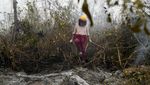 Kebakaran Hebat Melahap Hutan di Bolivia