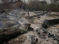Kebakaran Hebat Melahap Hutan di Bolivia