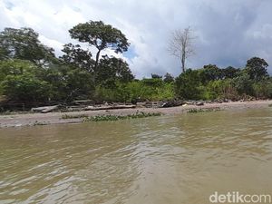 5 Fakta Pulau Maut dan Pulau Cinta di Sungai Musi
