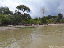 5 Fakta Pulau Maut dan Pulau Cinta di Sungai Musi