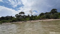 Pulau Kemaro merupakan sebuah delta yang terletak di tengah-tengah Sungai Musi bagian hilir. Jarak tempuh menuju Pulau Kemaro dari dermaga di bawah Jembatan Ampera atau Dermaga Benteng Kuto Besak (BKB) sekitar 5 km. Sedangkan dari PT Intirub hanya berkisar 1 km.