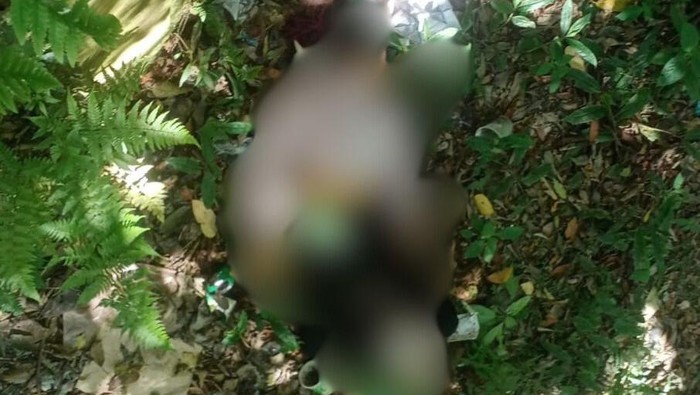 Penemuan mayat wanita di Pacet Mojokerto