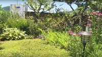 Jung So Min mempunya taman kecil yang rimbun di rooftop. Terlihat sejumlah bunga berwarna pink dan ungu yang bermekaran. Foto: YouTube 정소민ssomday