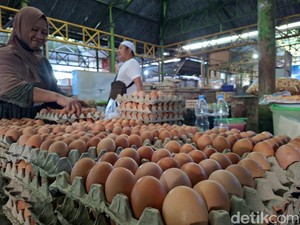 Harga Telur-Daging di Lombok Merangkak Naik Jelang Maulid Nabi