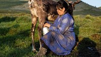 Di negara yang dingin seperti Eurasia bagian utara susu rusa banyak dikonsumsi masyarakatnya. Konon susu dari hewan ini memiliki kandungan sodium dan potasium yang lebih rendah. Foto: Goop