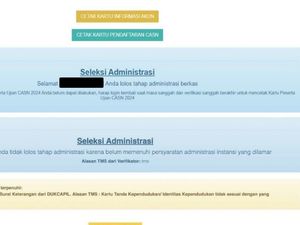 Tata Cara Cek Kelulusan Seleksi Administrasi CPNS 2024, Ada BPK-Kementan
