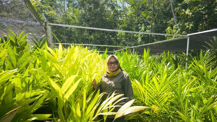 Usaha Pinang