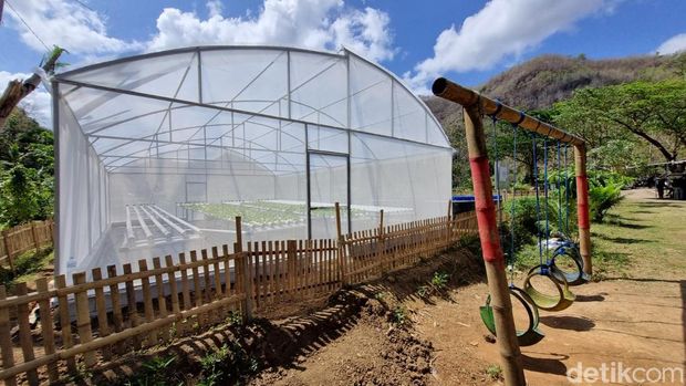 Greenhouse di Srikeminut, Sriharjo, Imogiri, Bantul, Sabtu (14/9/2024).