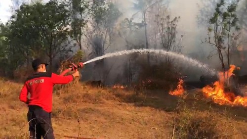 Kebakaran lahan mangga dan lontar di Karangasem, Bali, Sabtu (14/9/2024).